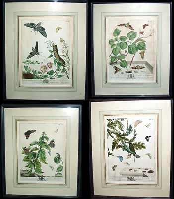 Lot 116 - Moses Harris [BUTTERFLY STUDIES] Four...
