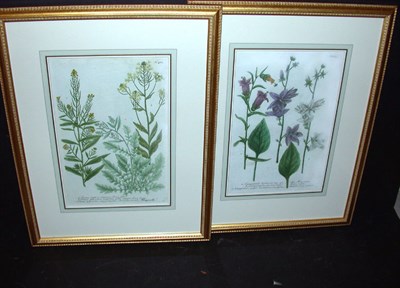 Lot 84 - After Johann Weinmann [FLORAL STUDIES] Two...