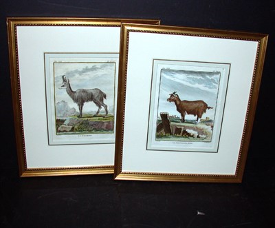 Lot 103 - After De Seve LE CHAMOIS and LA CHEVRE DE JUDA...