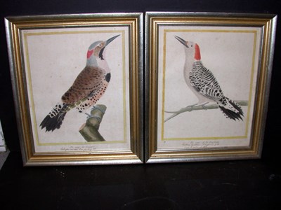 Lot 71 - Francois Martinet PIC RAYE. DUE CANADA and PIC...