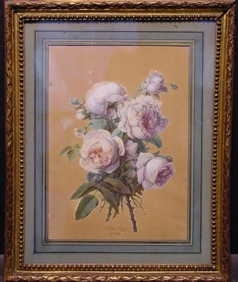 Lot 72 - Anne Vallayer-Coster French, 1744-1818 WHITE...
