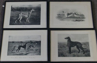 Lot 25 - After Arthur Wardle CHAMPION AYRSHIRE...