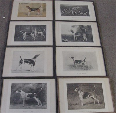 Lot 26 - After Arthur Wardle THE V.W.H. (CIRENCESTER)...