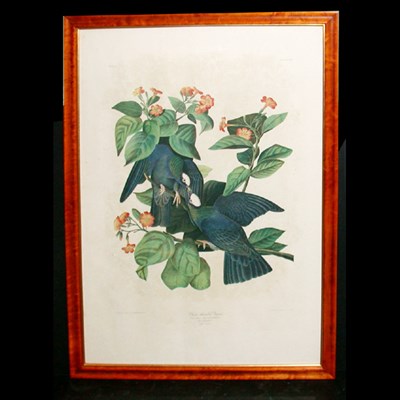 Lot 94 - After John James Audubon WHITE HEADED PIGEON...