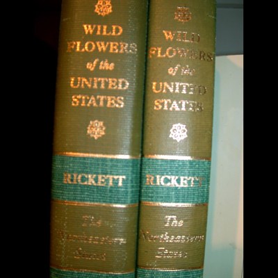 Lot 204 - RICKETT, HAROLD WILLIAM Wildflowers of the...