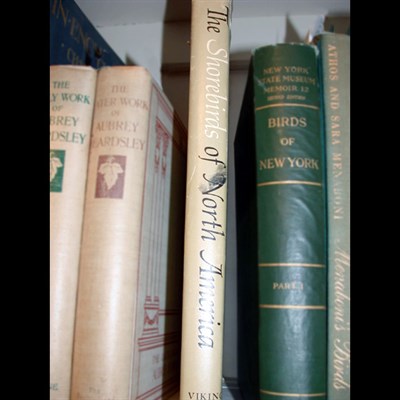 Lot 195 - MATTHIESSEN, PETER The Shorebirds of North...