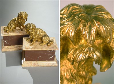 Lot 41 - Pair of Louis XV Gilt-Bronze Figures of Dogs...