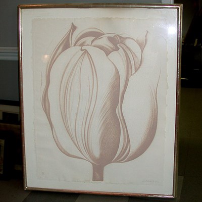 Lot 133 - Lowell Nesbitt [TULIP] Color lithograph, 1976,...