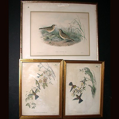 Lot 186 - J. Gould & H. C. Richter [BIRDS] Three...