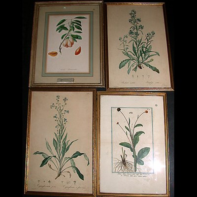 Lot 175 - After G. W. Voelker [PLANT STUDIES] Two...