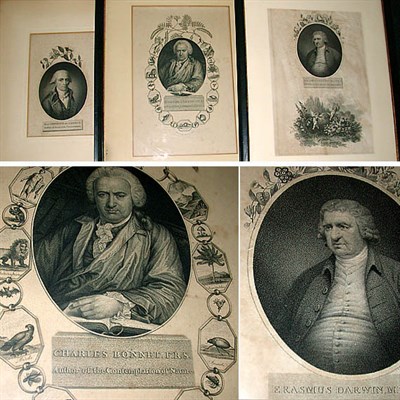 Lot 167 - Artist Unknown [PORTRAITS OF BOTANICAL...