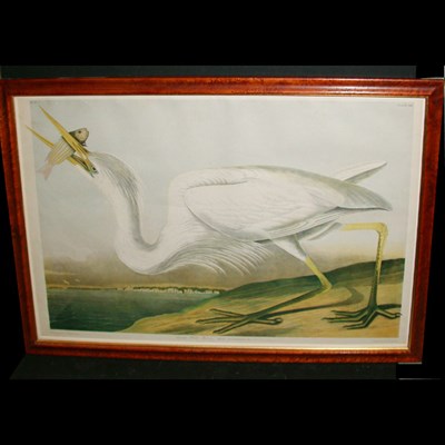 Lot 96 - After John James Audubon GREAT WHITE HERON...