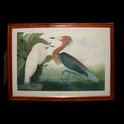 Lot 97 - After John James Audubon REDDISH EGRET...
