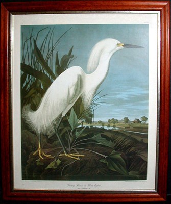 Lot 115 - After John James Audubon SNOWY HERON...