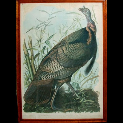 Lot 95 - After John James Audubon WILD TURKEY...