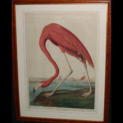 Lot 98 - After John James Audubon AMERICAN FLAMINGO...