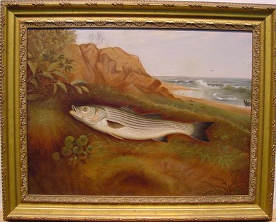 Lot 17 - American School 19th Century STRIPED BASS ON...