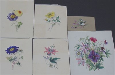 Lot 70 - British School 19th Century BOTANICAL STUDIES:...