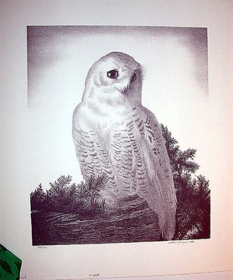 Lot 393 - Stow Wengenroth GREAT HORNED OWL; BARRED OWL;...