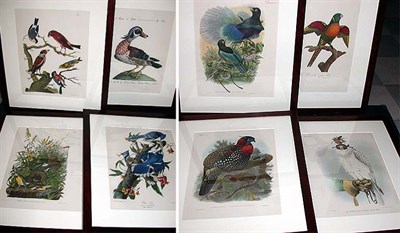 Lot 96 - After John James Audubon BLUE JAY and MEADOW...