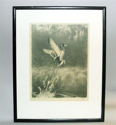 Lot 249 - Lynn Bogue Hunt JUMPING MALLARD Lithograph,...