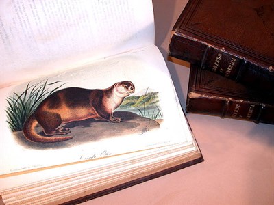 Lot 14 - AUDUBON, JOHN JAMES AND JOHN BACHMAN...