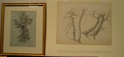 Lot 9 - (i) John William Casilear 1811-1893 TREES ON A...