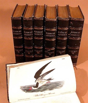 Lot 13 - AUDUBON, JOHN JAMES The Birds of America, from...