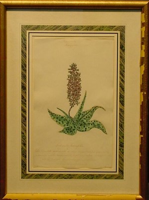 Lot 67 - Walter Goodall British, 1830-1889...