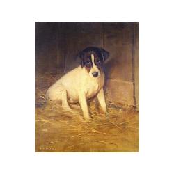 Lot 156 - Samuel Fulton British, 1855-1941 JACK RUSSEL...