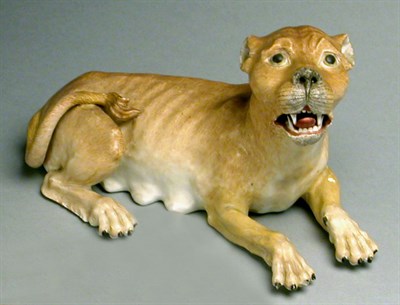 Lot 552 - Meissen Porcelain Figure of a Lioness After a...