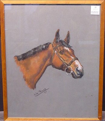 Lot 23 - Lila Rand 20th Century PORTRAIT OF A HORSE...