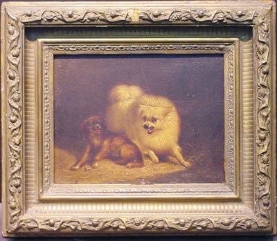 Lot 144 - Henriette Ronner-Knip Dutch, 1821-1909 PLAYFUL...