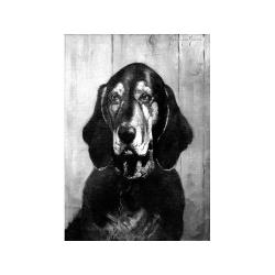 Lot 207 - Marie Guise Newcomb American, b.1865...