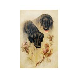 Lot 223 - Arthur Wardle British, 1864-1949 LABRADORS...