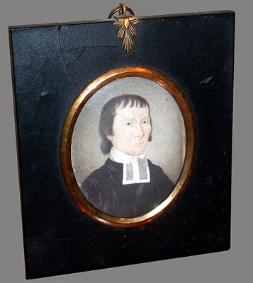 Lot 265 - American School 19th century PROFESSOR PECK OF...