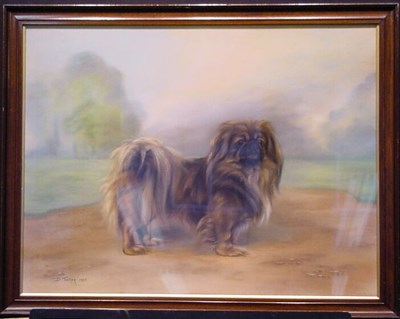 Lot 249 - D. Tucker European, 20th century A PEKINGESE...