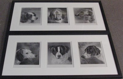 Lot 93 - After Sir Edwin Landseer DEERHOUND Lithograph...