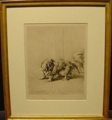 Lot 240 - Maud Earl STANDING PEKINGESE Photoreproduction,...