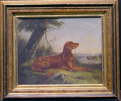 Lot 112 - C.R. Murdoch British, 19th century SETTER...