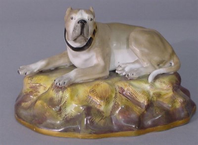 Lot 53 - English Porcelain Figure Of a recumbent hound.