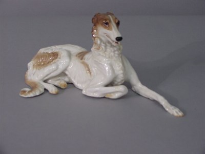 Lot 54 - Continental Porcelain Figure Of a Borzoi Hound.