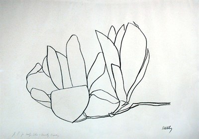 Lot 217 - Ellsworth Kelly MAGNOLIA (AXSOM 56) Lithograph,...