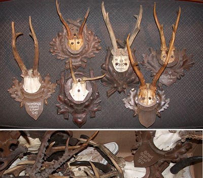Lot 285 - Miscellaneous Group of Victorian Mounted...