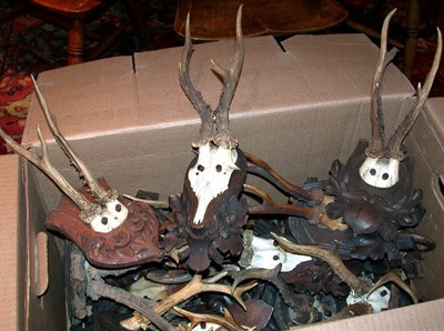 Lot 161 - Miscellaneous Group of Horns and Antlers...