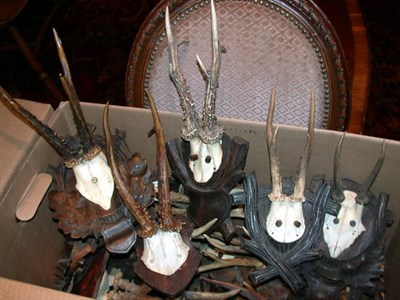 Lot 163 - Miscellaneous Group of Horns and Antlers...