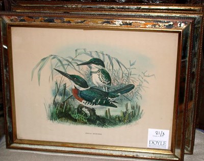 Lot 81 - Artist Unknown [BIRDS] Three hand-colored...