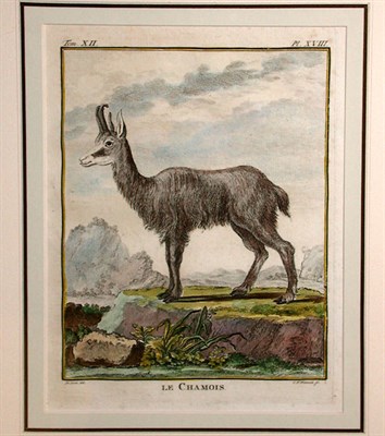 Lot 87 - After De Seve LE CHAMOIS; LE MORVANT; MEMINA...