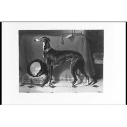 Lot 1 - After Sir Edwin Landseer RA SELECTIONS FROM...