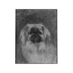 Lot 64 - English School, circa 1900 HEAD OF A PEKINGESE...